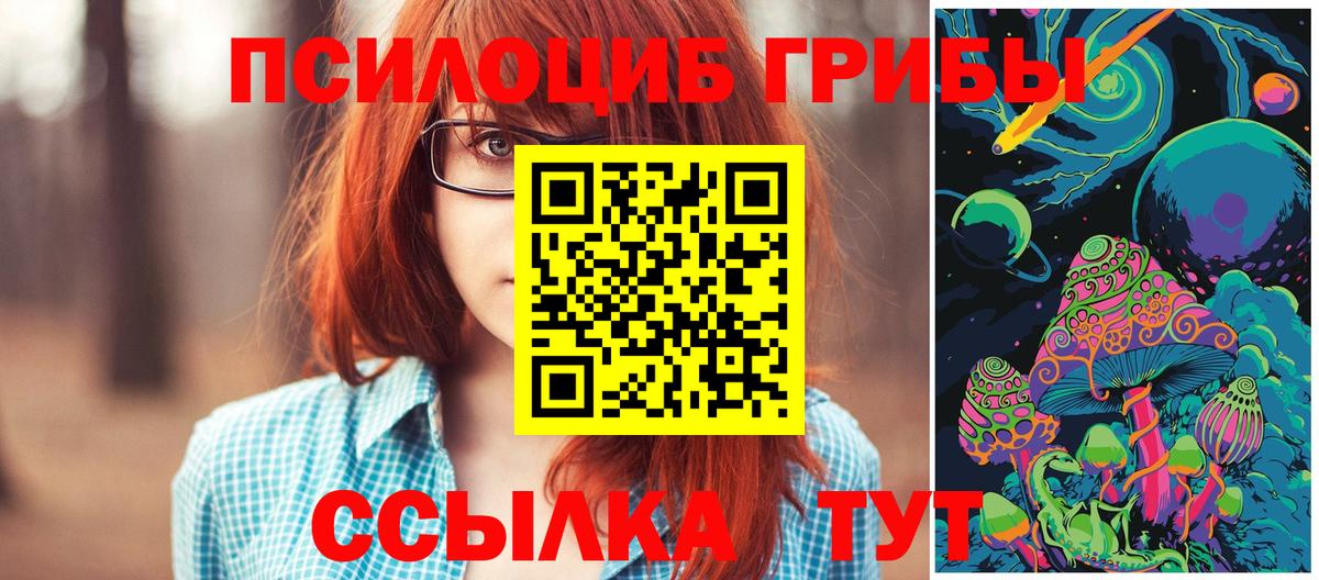 Галлюциногенные грибы прущие грибы Малгобек