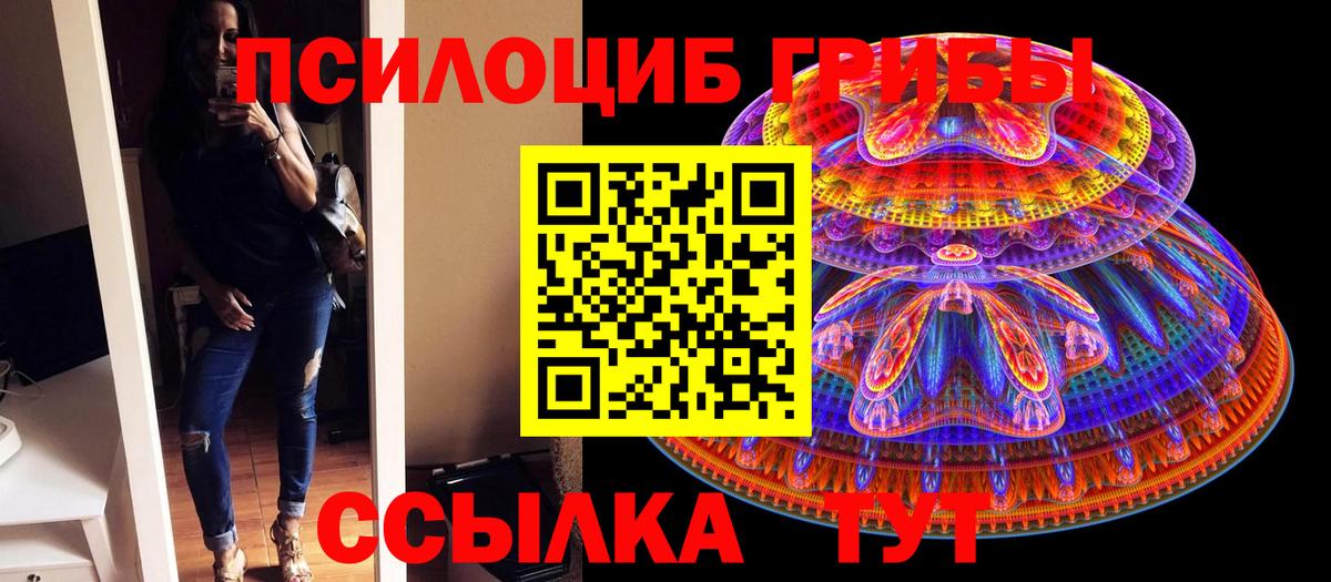 Малгобек  Галлюциногенные грибы Cubensis  цены   Вход с VPN 